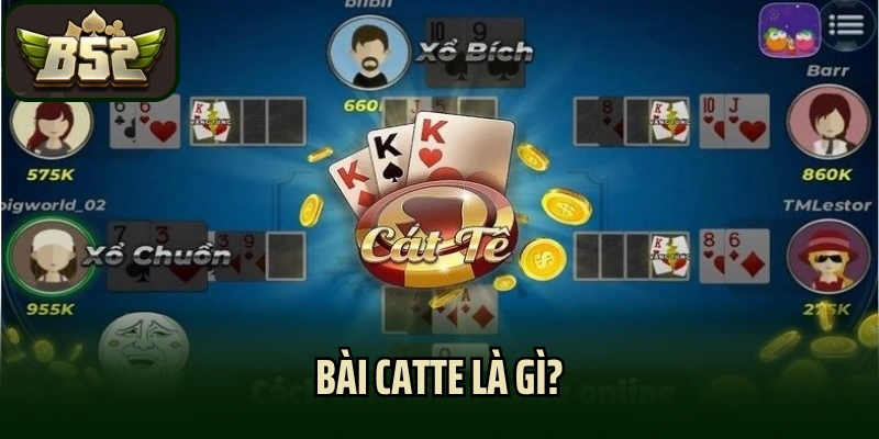 Bài Catte Là Gì