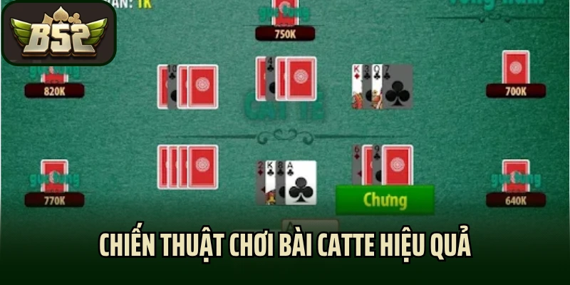 Chiến thuật chơi bài catte hiệu quả