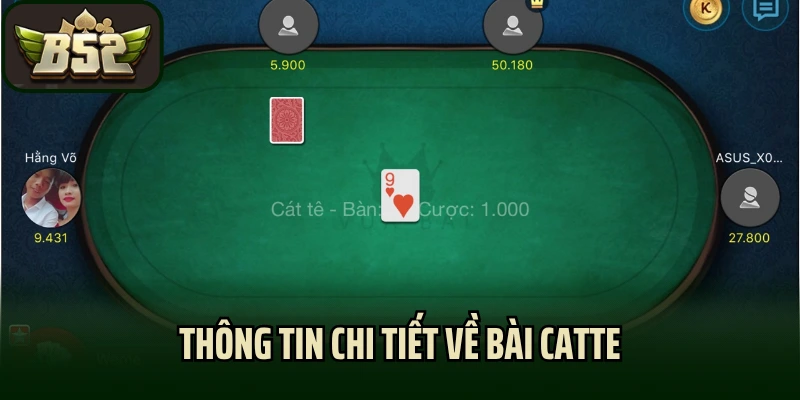 Thông tin chi tiết về bài catte